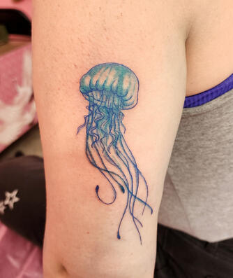 Jellyfish Jellyfish