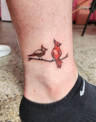 Cardinals Cardinals