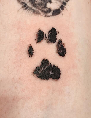 Cat Pawprint Cat Pawprint